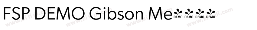 FSP DEMO Gibson Me字体转换 FSP DEMO Gibson Me字体转换